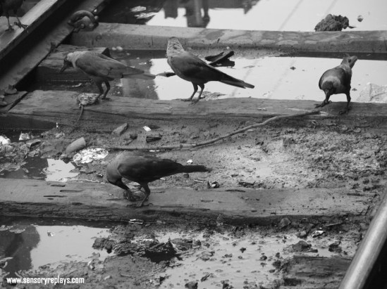 ???????????????????????????????